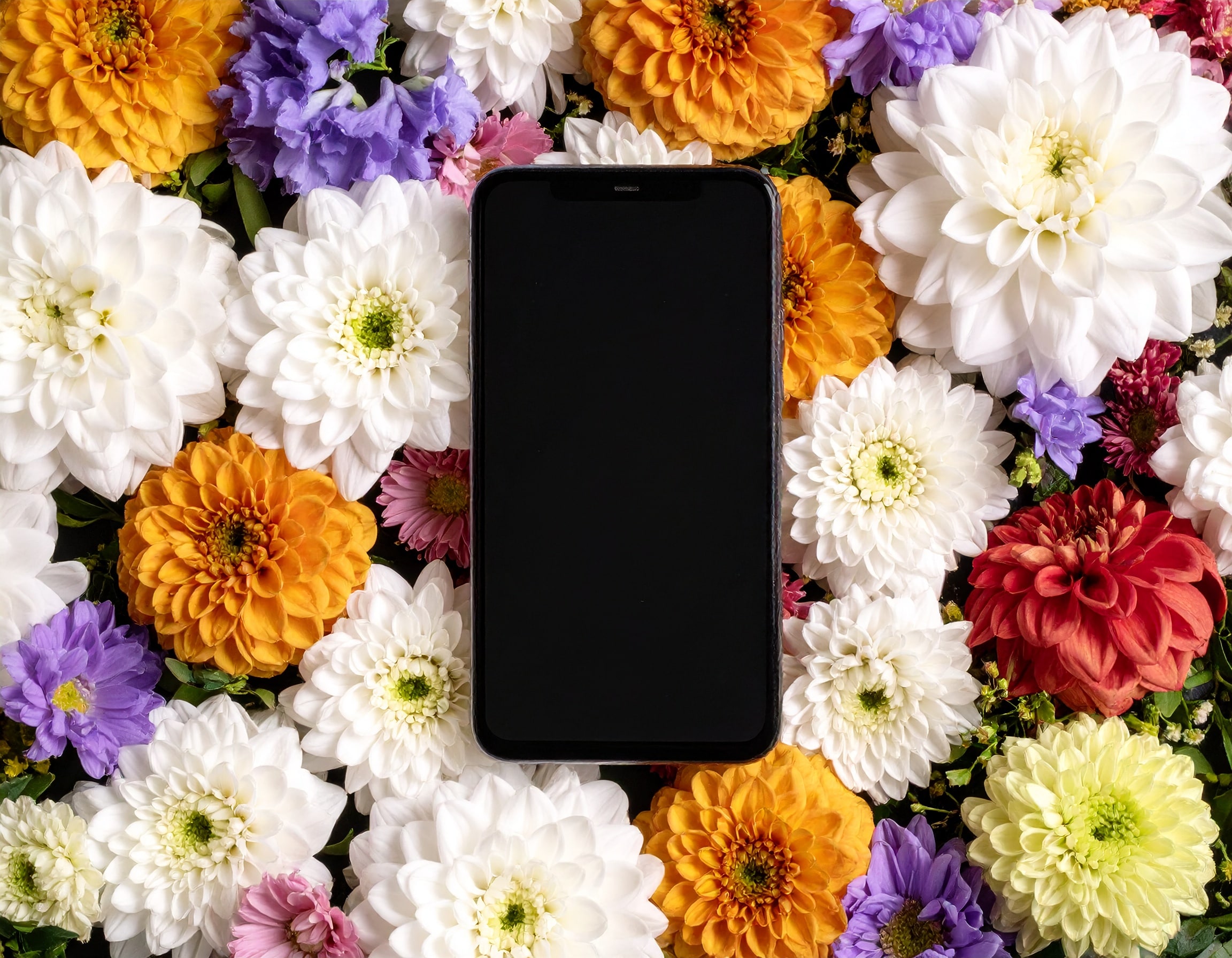 key points before buying a mobile phone